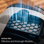 Miele Classic C1 Pure Suction Vacuum for Hard Floors & Low-Pile Carpet